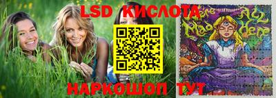 шишки Татарск