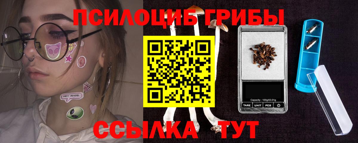 Артёмовский  Галлюциногенные грибы прущие грибы  Вход с VPN  Псилоцибиновые грибы прущие грибы 